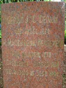 Afbeelding/portret van Deinum