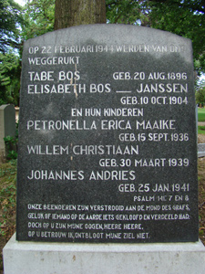 Afbeelding/portret van Bos