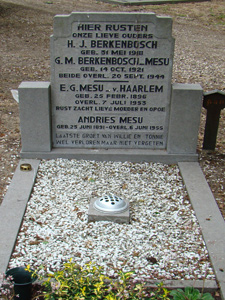 Afbeelding/portret van Berkenbosch