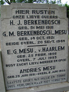 Afbeelding/portret van Berkenbosch-Mesu