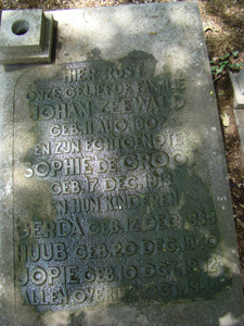 Afbeelding/portret van Zeewald